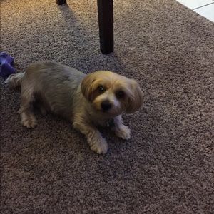 Meet your Posher, Dede